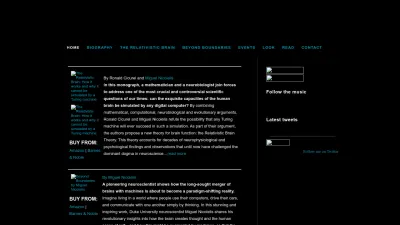 Screenshot preview of beyondboundariesnicolelis.net