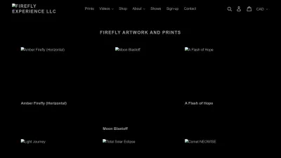 Screenshot preview of fireflyexperience.org