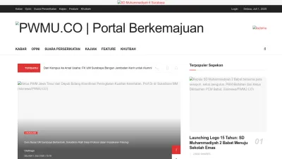 Screenshot preview of pwmu.co