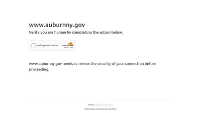 Screenshot preview of auburnny.gov