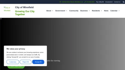 Screenshot preview of cityofwinnfield.com