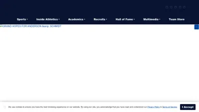 Screenshot preview of fchornets.com