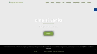 Screenshot preview of turesita.ro