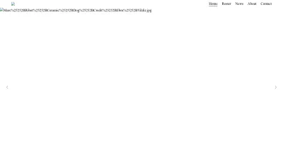 Screenshot preview of partisanpr.com
