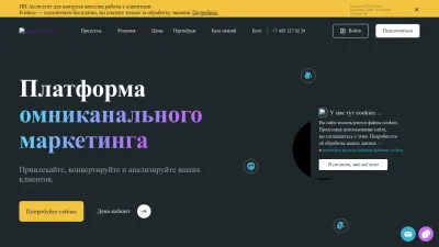 Screenshot preview of calltouch.ru