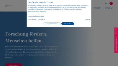 Screenshot preview of ekfs.de