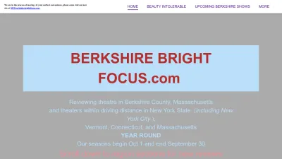 Screenshot preview of berkshirebrightfocus.com