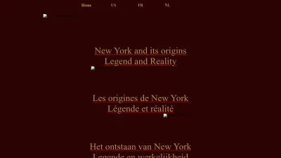 Screenshot preview of newyorkfoundation.net