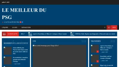 Screenshot preview of lemeilleurdupsg.com