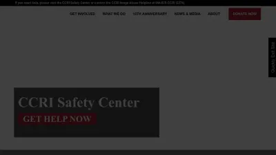 Screenshot preview of cybercivilrights.org