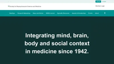 Screenshot preview of thesbsm.org
