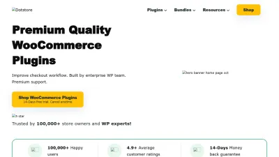 Screenshot preview of thedotstore.com
