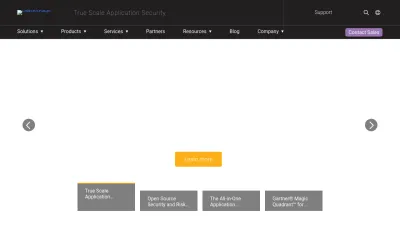 Screenshot preview of blackduck.com
