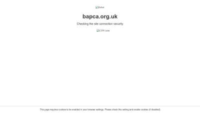 Screenshot preview of bapca.org.uk
