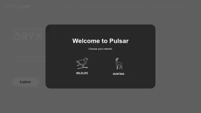 Screenshot of Pulsarvision.com