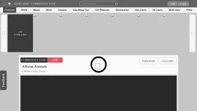 Screenshot preview of explore.org