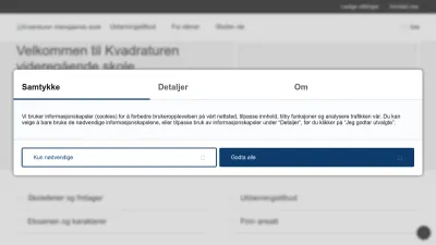 Screenshot of Kvadraturen.vgs.no