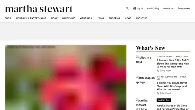 Screenshot preview of marthastewart.com