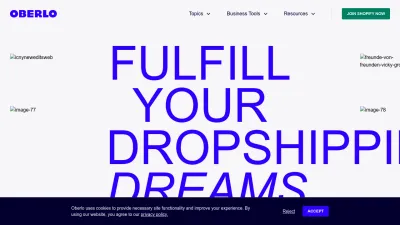 Screenshot of Oberlo.com