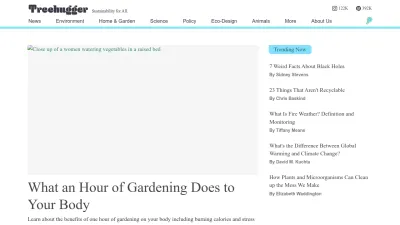 Screenshot preview of treehugger.com