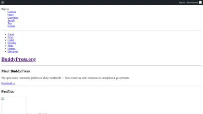 Screenshot preview of buddypress.org