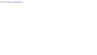 Screenshot of Documenter.getpostman.com