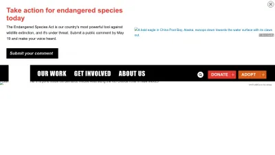 Screenshot preview of worldwildlife.org