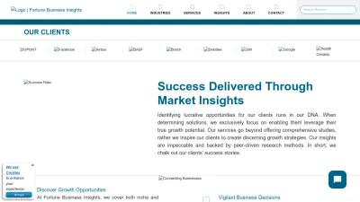 Screenshot preview of fortunebusinessinsights.com