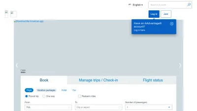Screenshot preview of aa.com