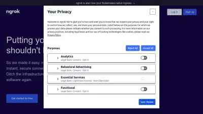 Screenshot of Ngrok.com