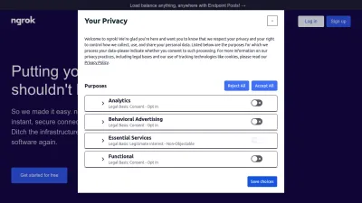 Screenshot preview of ngrok.com