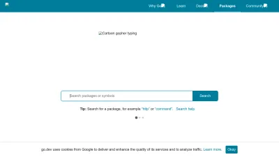 Screenshot of Pkg.go.dev