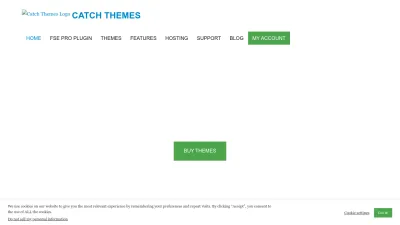 Screenshot preview of catchthemes.com
