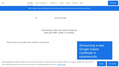 Screenshot preview of grow.google