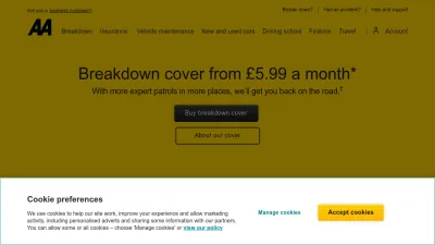 Screenshot of Theaa.com
