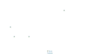 Screenshot of Forestapp.cc