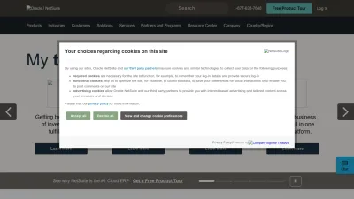 Screenshot preview of netsuite.com
