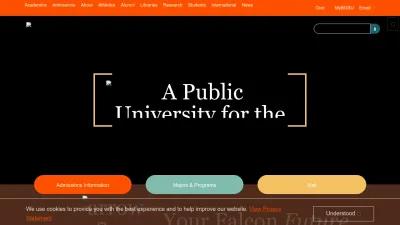 Screenshot of Bgsu.edu