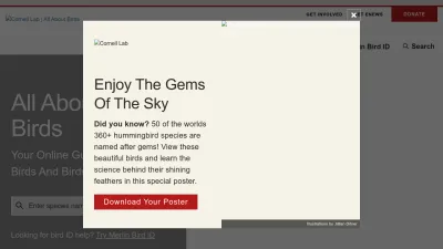 Screenshot preview of allaboutbirds.org