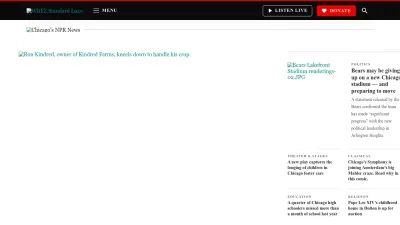 Screenshot of Wbez.org