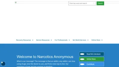 Screenshot preview of na.org