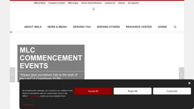 Screenshot of Wels.net