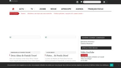 Screenshot of Africultures.com