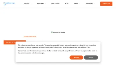 Screenshot preview of metaltoad.com
