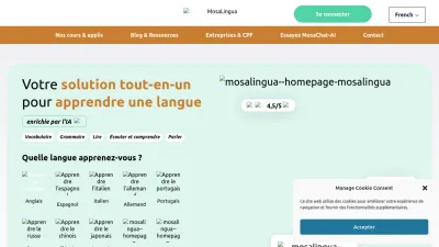 Screenshot of Mosalingua.com