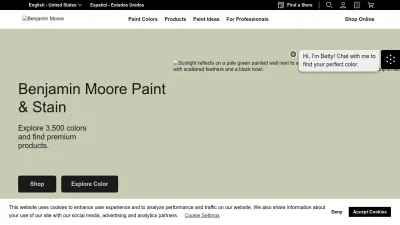 Screenshot preview of benjaminmoore.com