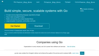 Screenshot of Go.dev