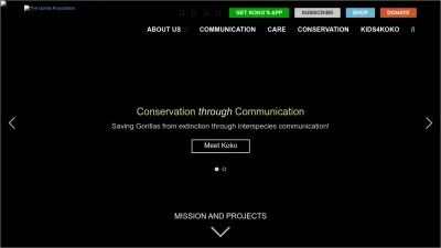 Screenshot preview of koko.org