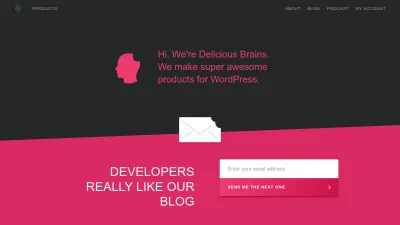 Screenshot of Deliciousbrains.com