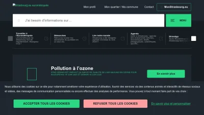 Screenshot preview of strasbourg.eu